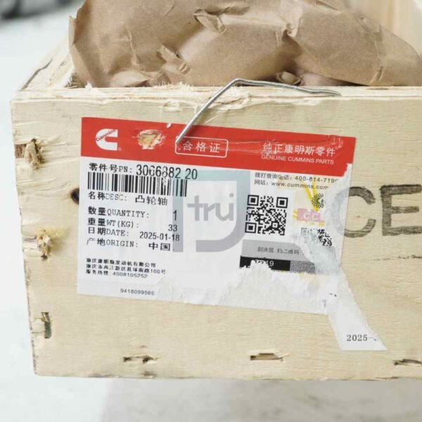 3066882-PT-Tcamshaft-K19-1