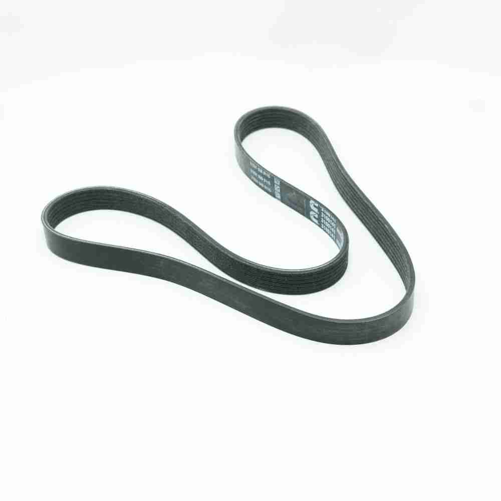 3100141 ISX15 QSX15 Poly V Belt - Image 3