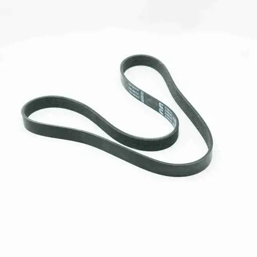 3100141 ISX15 QSX15 Poly V Belt - Image 4