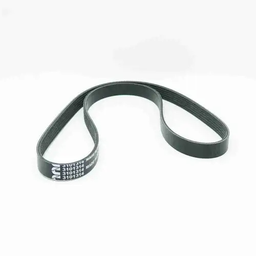 3101314 3806064 ISX15 QSX15 Poly V Belt - Image 5