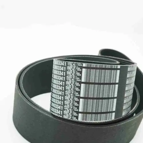 3003341 5413001 KTA19 Poly V Belt - Image 6