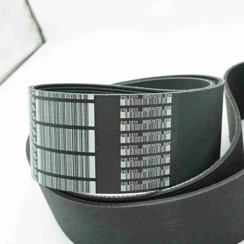 3003341 5413001 KTA19 Poly V Belt - Image 7