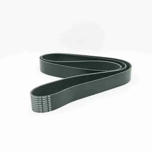 3687535 ISX15 QSX15 Poly V Belt - Image 3