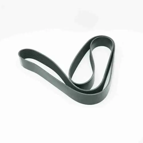 3687535 ISX15 QSX15 Poly V Belt - Image 4