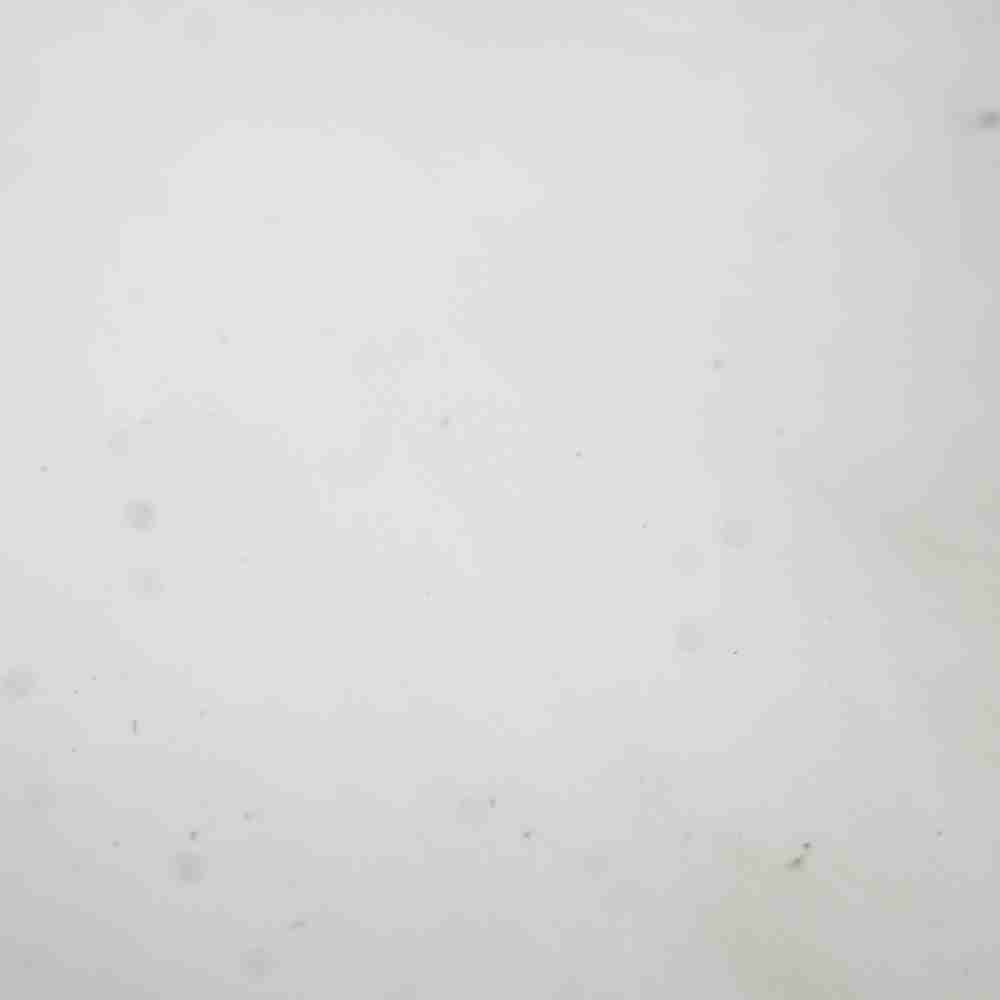 5412994 3626788 QSK38 QSK50 Diesel Engine Part - Image 4