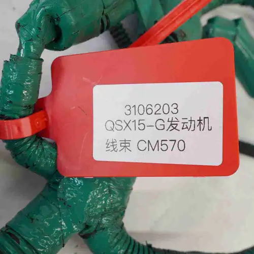 3106203 QSX15-G Engine Wiring Harness - Image 10