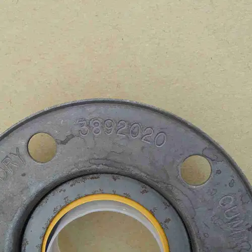 3804304 3803728 3803488 3892020 Oil Seal - Image 5