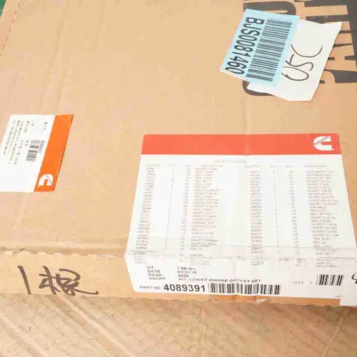 4089391 4376512 QSK19 K19 Lower Repair Kit - Image 6
