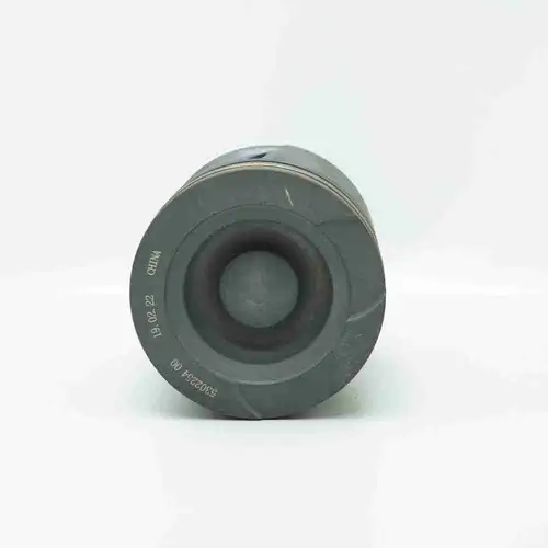 5302254 5255218 4352284 4352300 Piston - Image 4