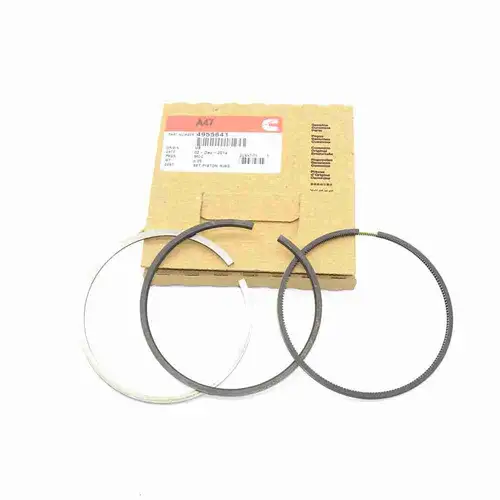 4376351 4955642 4943264 5336106 Piston Assembly - Image 9