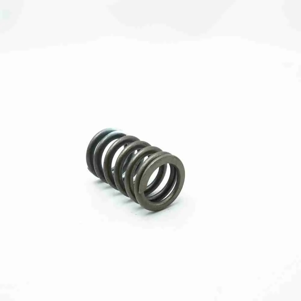 5316172 4936076 3944711 ISB Valve Spring - Image 3