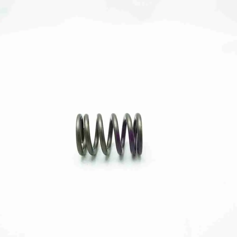 5316173 5292627 4936079 ISL Valve Spring - Image 3