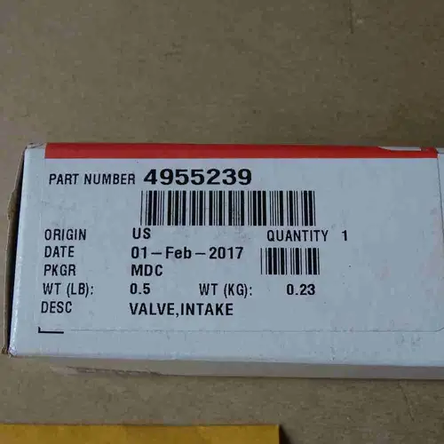 4955239 3800636 3804533 4926069 Intake Valve - Image 2