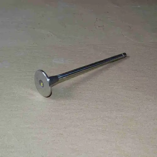 4955239 3800636 3804533 4926069 Intake Valve - Image 4