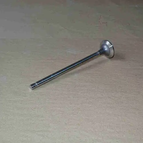 4955239 3800636 3804533 4926069 Intake Valve - Image 5