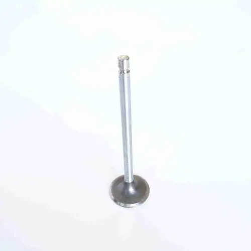 3800340 3942588 ISC QSC Intake Valve - Image 7