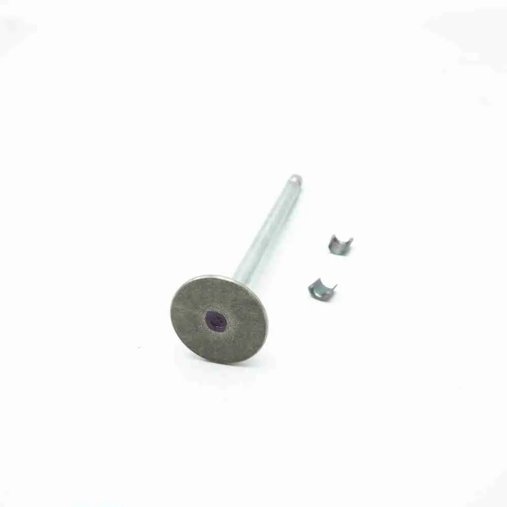 5259419 4981795 ISL QSL Exhaust Valve - Image 3
