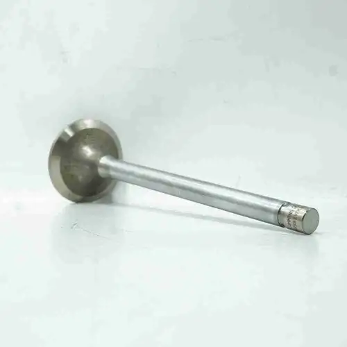 3803515 3088393 K38 K50 Intake Valve - Image 4