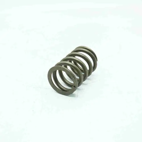 3643725 3633840 3630628 3629007 Valve Spring - Image 3