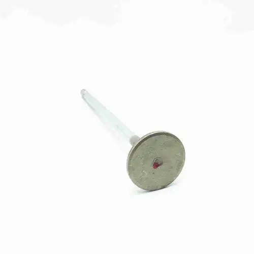 2881812 3804892 3641542 3090469 Exhaust Valve - Image 3