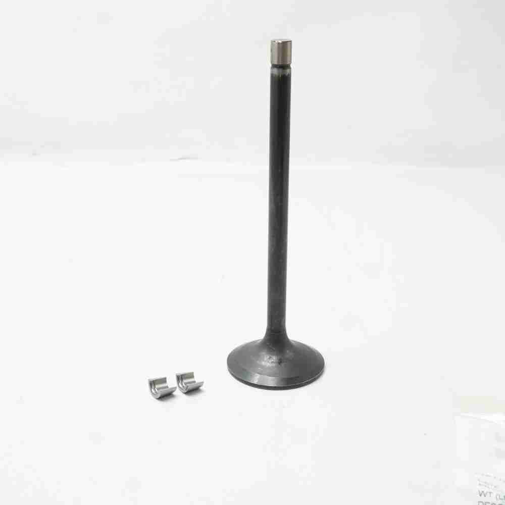 3804866 4975848 QST30 Intake Valve - Image 2