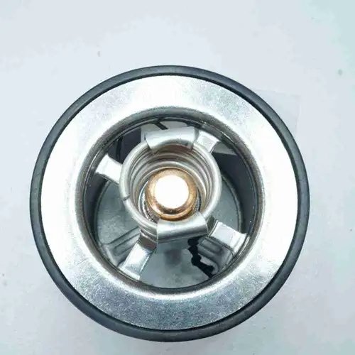 4090031 3800322 4096427 4067834 Water Pump - Image 6
